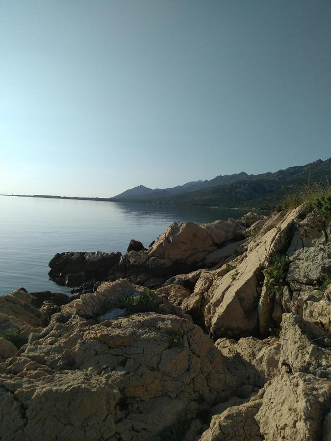 Apartman Larus Starigrad Paklenica Exterior photo