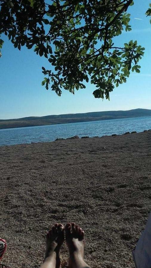 Apartman Larus Starigrad Paklenica Exterior photo